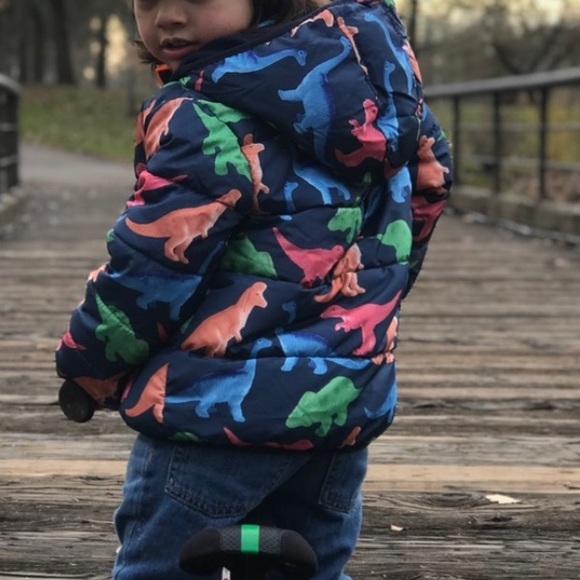 Gymboree dinosaur jacket. - Picture 2 of 3
